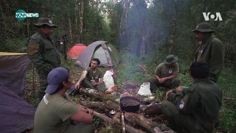 изображение на VOA 52 истории