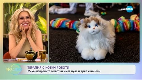изображение на Терапия с котки-роботи: Механизираните животни имат пулс и яркосини очи - „На кафе“ (29.05.2025)