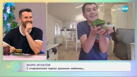 изображение на Жоро Игнатов с очарователен пернат любимец - „На кафе“ (04.06.2025)
