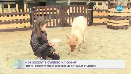 изображение на Нов зоокът в сърцето на София - „На кафе“ (04.06.2025)