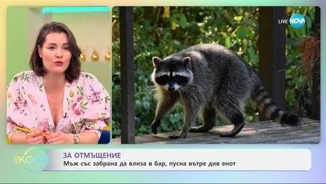 изображение на Мъж със забрана да влиза в бар, пусна вътре див енот - „На кафе“ (16.06.2025)