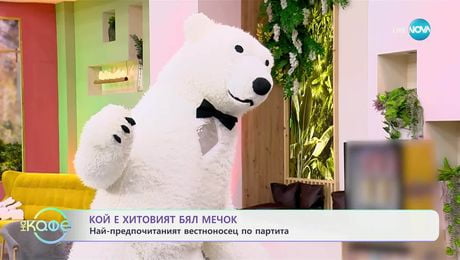 изображение на Кой е хитовият бял мечок: На-предпочитаният вестоносец по партита - „На кафе“ (18.06.2025)