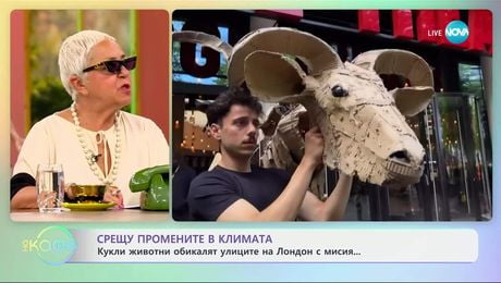 изображение на Срещу промените в климата: Кукли животни обикалят улиците на Лондон с мисия - „На кафе” (02.07.2025)