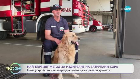 изображение на Пожарникарски кучета: Кои са пожарникарите, които обучават четириногите си за спасителни мисии- „На кафе” (02.07.2025)