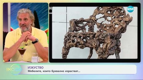 изображение на Изкуство: Когато мебелите буквално израстват - „На кафе” (09.07.2025)