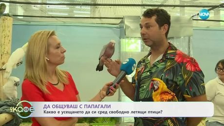 изображение на Авиариум: Мястото, където папагалите летят свободно около хората - „На кафе” (11.07.2025)