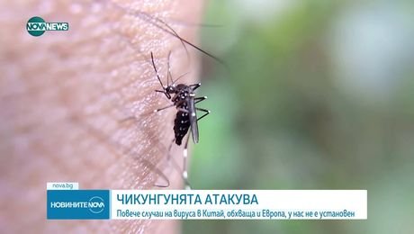 изображение на Новините на NOVA NEWS (09.08.2025 - обедна емисия)