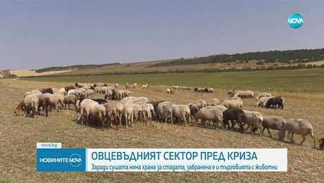 изображение на Новините на NOVA (10.08.2025 - обедна емисия)