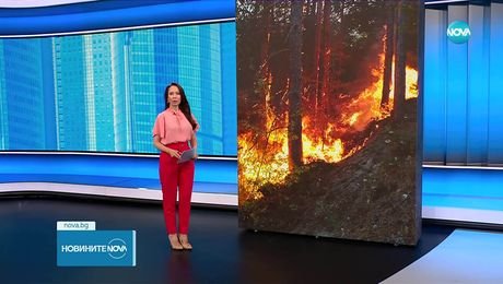 изображение на Новините на NOVA (13.08.2025 - обедна емисия)