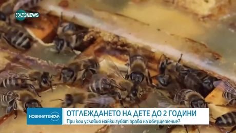 изображение на Новините на NOVA NEWS (13.08.2025 - централна емисия)