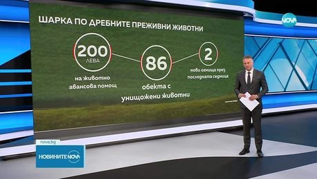 изображение на Новините на NOVA (16.08.2025 - централна емисия)