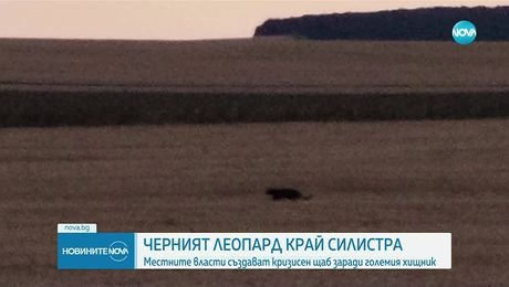 изображение на Новините на NOVA (27.08.2025 - обедна емисия)