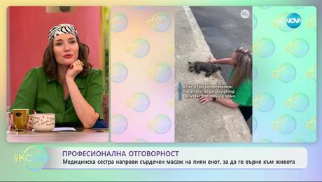 изображение на Медицинска сестра направи сърдечен масаж на пиян енот - „На кафе” (11.09.2025)