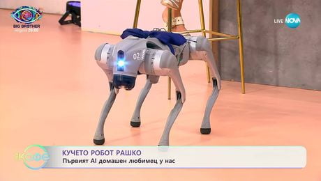 изображение на Кучето робот Рашко: Първият AI домашен любимец у нас - „На кафе” (19.09.2025)
