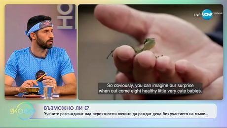 изображение на Учените разсъждават над вероятността жените да раждат без участието на мъже - „На кафе” (25.09.2025)