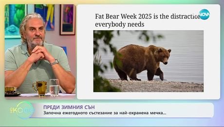 изображение на Започна ежегодното състезание за най-охранена мечка - „На кафе” (25.09.2025)