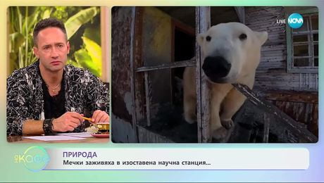изображение на Мечки заживяха в изоставена научна станция - „На кафе” (01.10.2025)