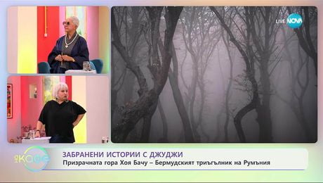 изображение на Забранени истории с Джуджи: Историята на призрачната гора Хоя Бачу в Румъния - „На кафе” (01.10.2025)