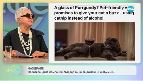 изображение на Новозенландска компания създаде вино за домашни любимци - „На кафе” (02.10.2025)