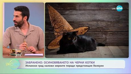 изображение на Испански град забрани осиновяването на черни котки - „На кафе“ (20.10.2025)