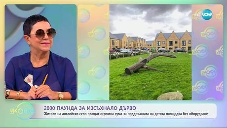 изображение на Жители на английско село плащат 2000 паунда за изсъхнало дърво - „На кафе“ (24.10.2025)