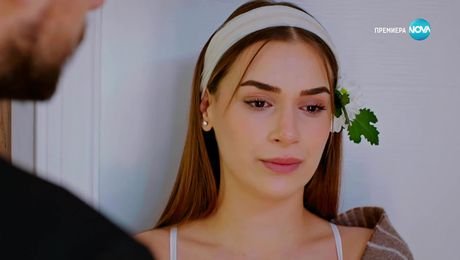 изображение на Лабиринт към щастието