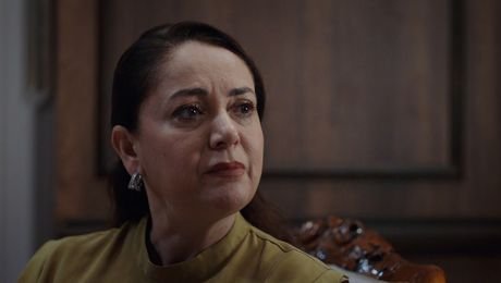 изображение на Шербет от боровинки