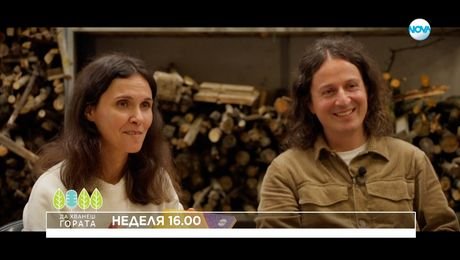 изображение на Да хванеш гората - неделя по NOVA (02.11.2025)