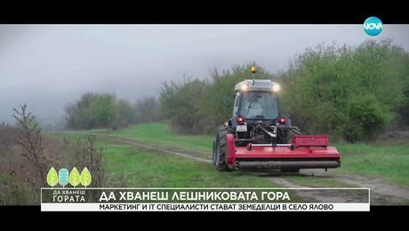 изображение на Да хванеш гората (02.11.2025)