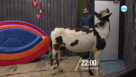 изображение на Big Brother - тази вечер по NOVA (04.11.2025)