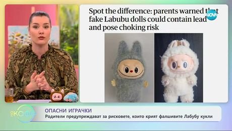 изображение на Родители прердупреждават за рисковете, които крият фалшивите Лабубу кукли - „На кафе“ (07.11.2025)