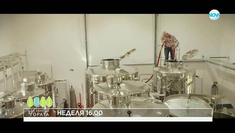 изображение на Да хванеш гората - неделя по NOVA (09.11.2025)