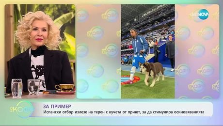 изображение на Испански отбор излезе с куче на терен от приют, за да стимулира осиновяванията - „На кафе“ (12.11.2025)