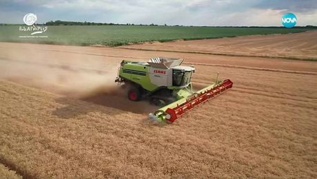 изображение на Неразказани истории от Севера: Рецепти от Дуранкулак