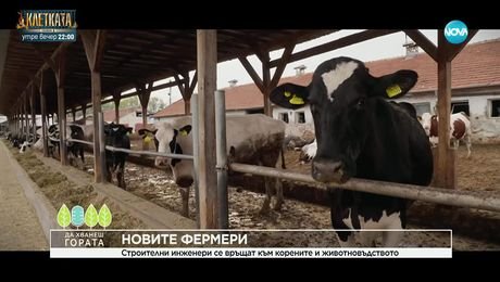 изображение на Да хванеш гората (16.11.2025)