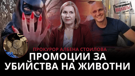 изображение на Прокурор Албена Стоилова: Промоции за убийства на животни | Телеграфно Podcast