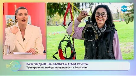 изображение на Разхождане на въображаеми кучета набира популярност в Германия - „На кафе“ (24.11.2025)