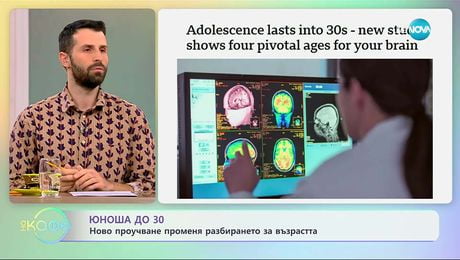 изображение на Юноша до 30: Ново проучване променя разбирането за възрастта - „На кафе“ (28.11.2025)