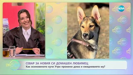 изображение на Севар за новия си домашен любимец - „На кафе“ (01.12.2025)