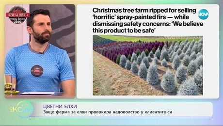 изображение на Ферма за елхи провокира недоволство у клиентите си - „На кафе“ (05.12.2025)