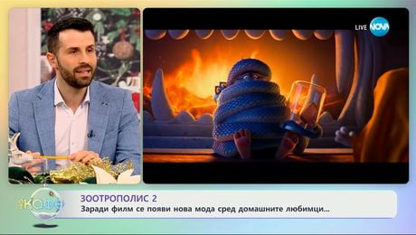 изображение на Заради филм се появи нова мода сред домашните любимци - „На кафе“ (17.12.2025)