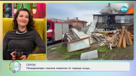 изображение на Пожарникари спасиха животни от горяща къща - „На кафе“ (24.12.2025)