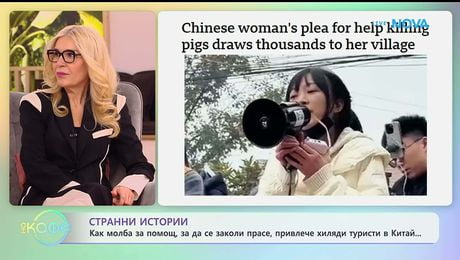 изображение на Как молба за помощ, за да се заколи прасе, привлече хиляди туристи в Китай | На кафе | 21 януари 2026