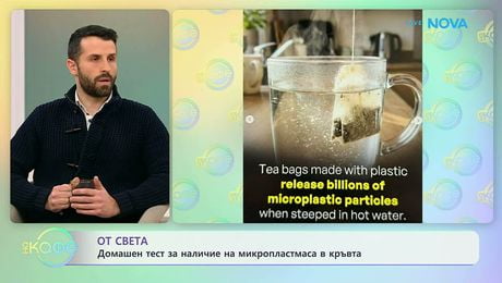 изображение на Домашен тест за наличие на микропластмаса в кръвта | На кафе | 6 февруари 2026