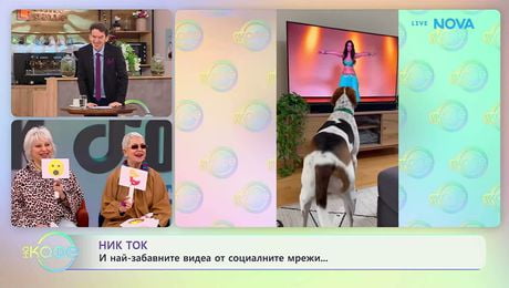 изображение на НИК ТОК | Най-любопитното от социалните мрежи | На кафе | 11 февруари 2026