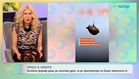 изображение на Китайски фермер използва дрон, за да транспортира по-бързо животните си | На кафе | 12 февруари 2026