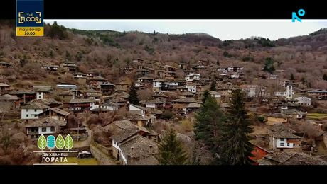 изображение на Да хванеш гората | Да откриеш магията на Родопите и да останеш | 22 февруари 2026