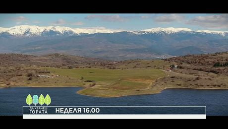 изображение на Да хванеш гората | неделя по NOVA | 8  мар. 2026