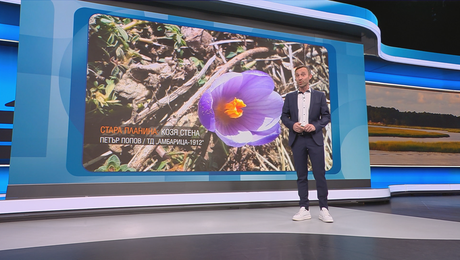 изображение на Прогноза за времето | Обедна емисия | 8 мар. 2026