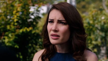 изображение на Шербет от боровинки